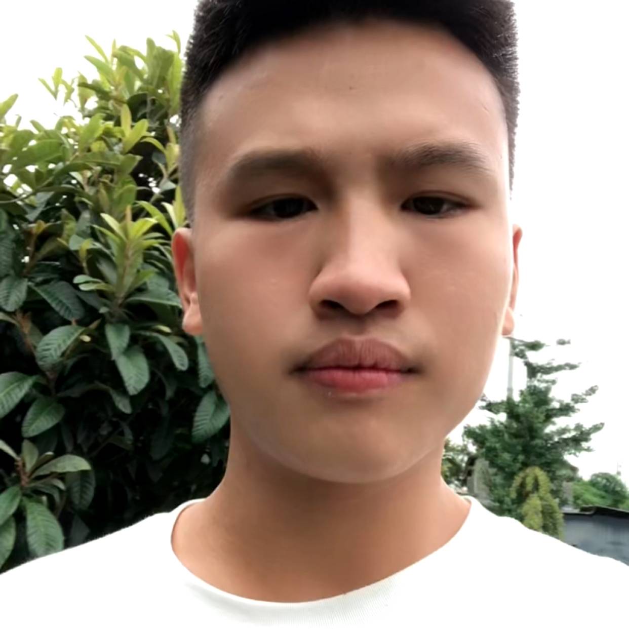 路人保卫落寂的照片