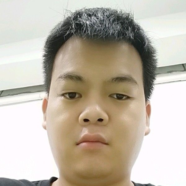 内向的小懒猪的照片