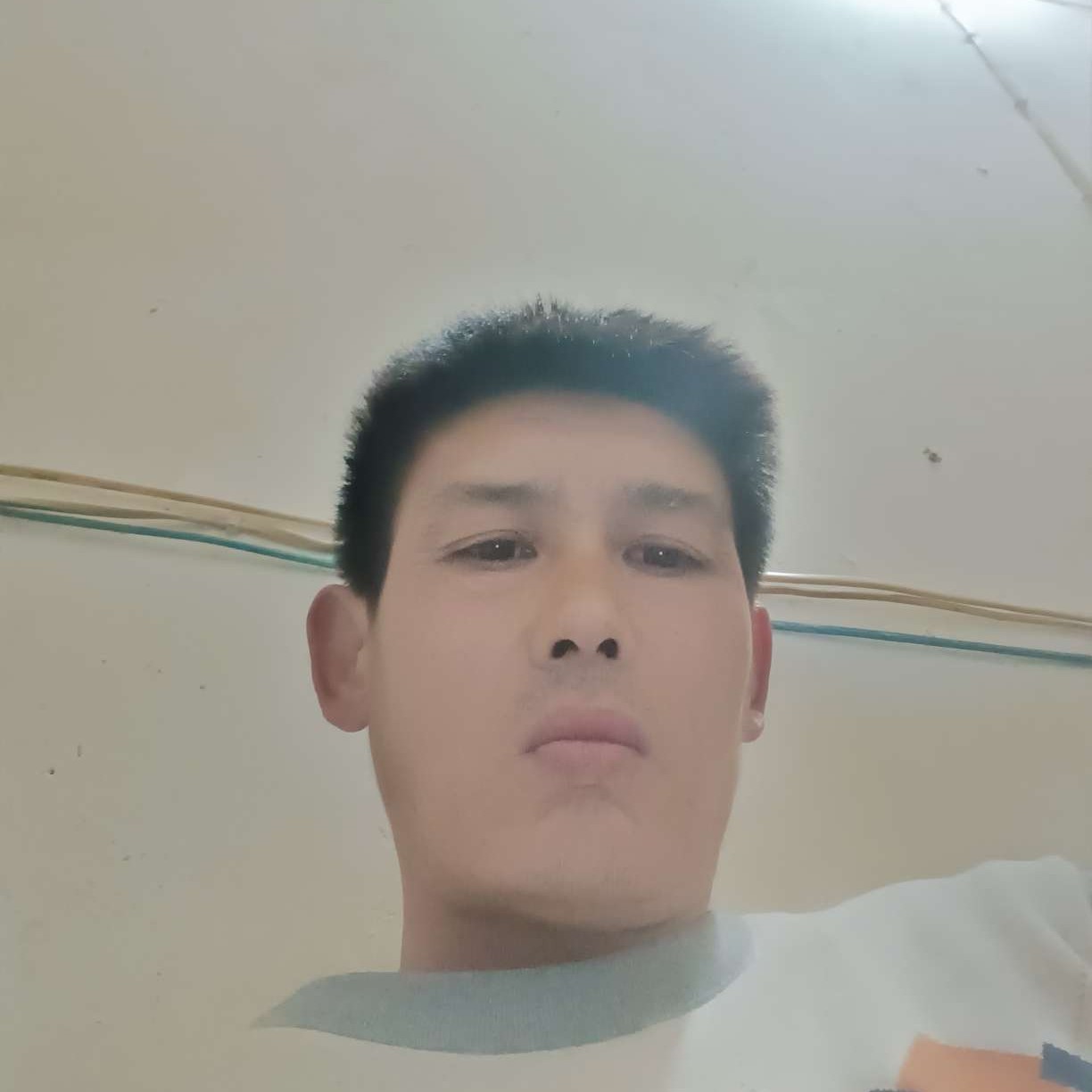 大力愿小兔子的照片