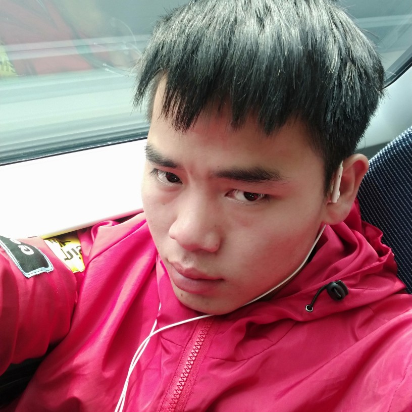 鸭子漫步高高的照片