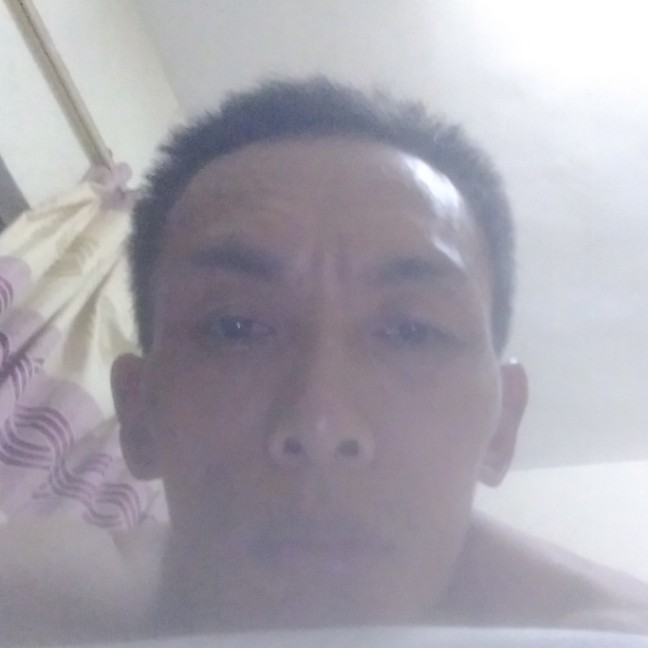 轻舞飞物的照片