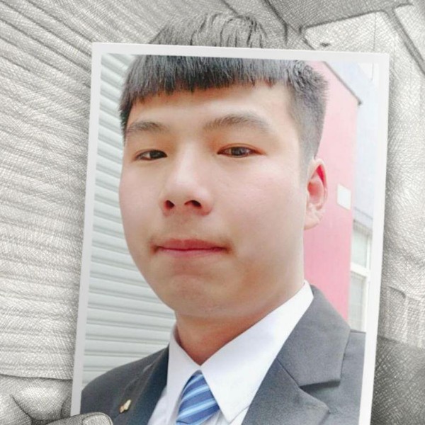 阿尔卑斯海鸥的照片