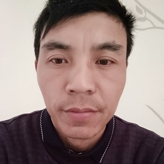 年轻鸭子的照片
