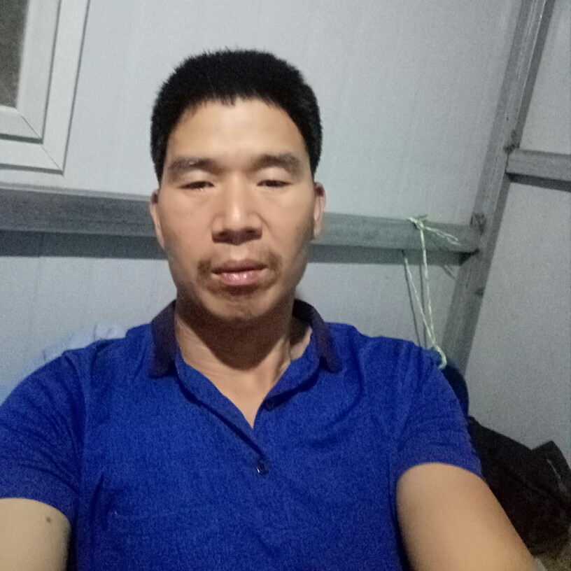 热情放弃老虎的照片