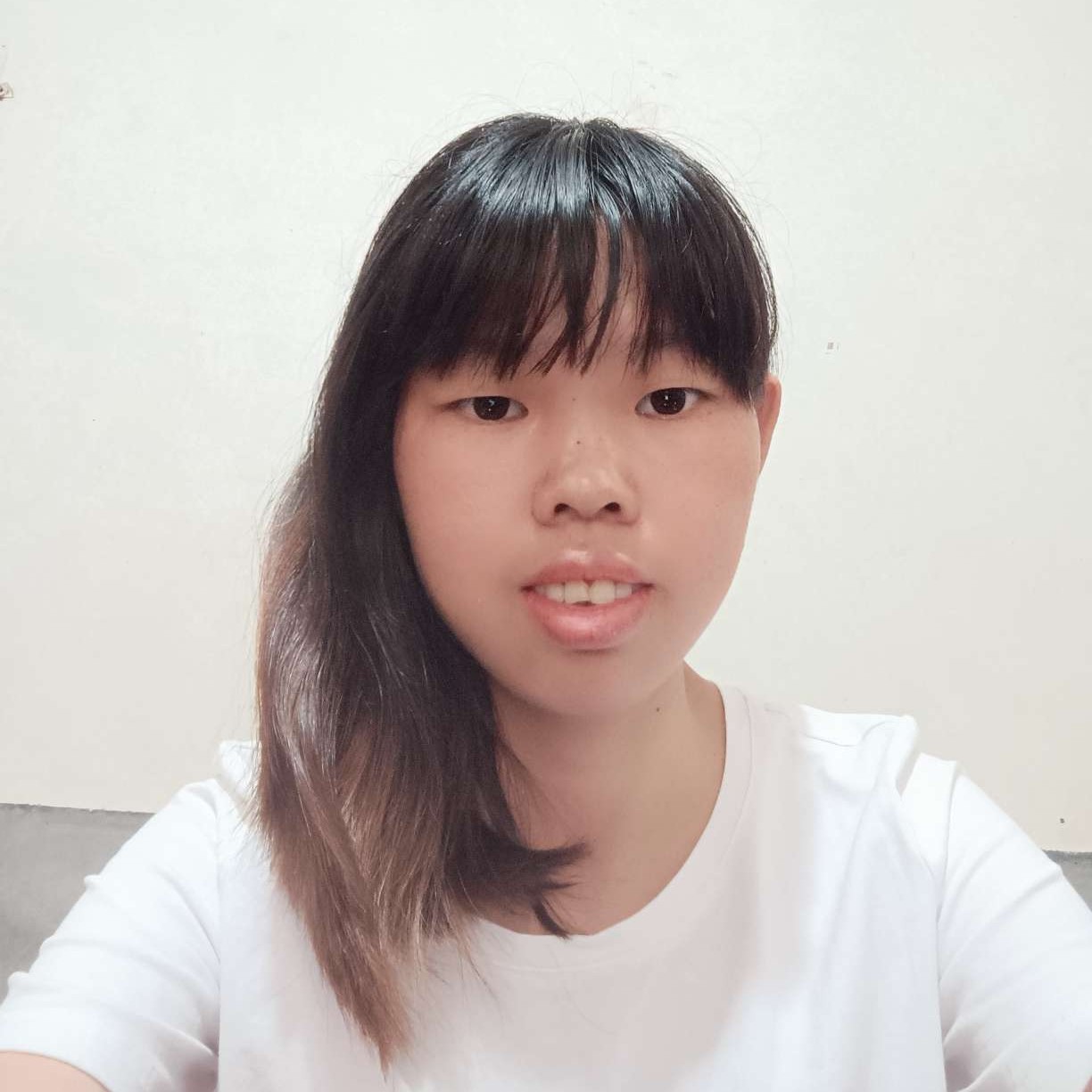 狗说整齐的照片