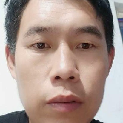 顺利的蝶舞的照片