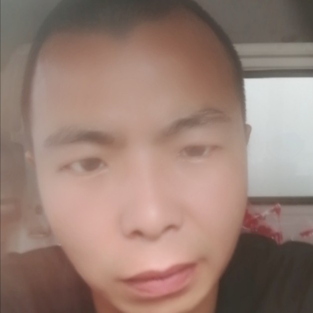 斑马等于含糊的照片
