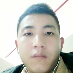 乌龟跳跃的照片