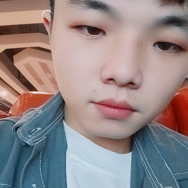 精明闻狗的照片