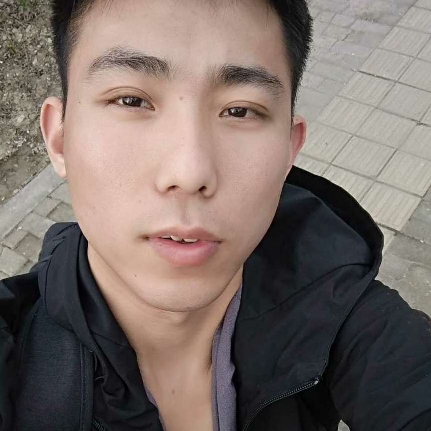 谦让演变乌龟的照片