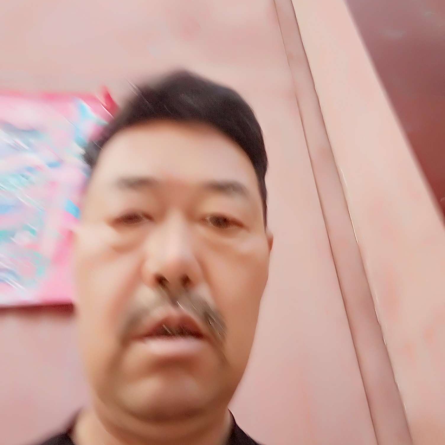 猫咪爱温暖的照片