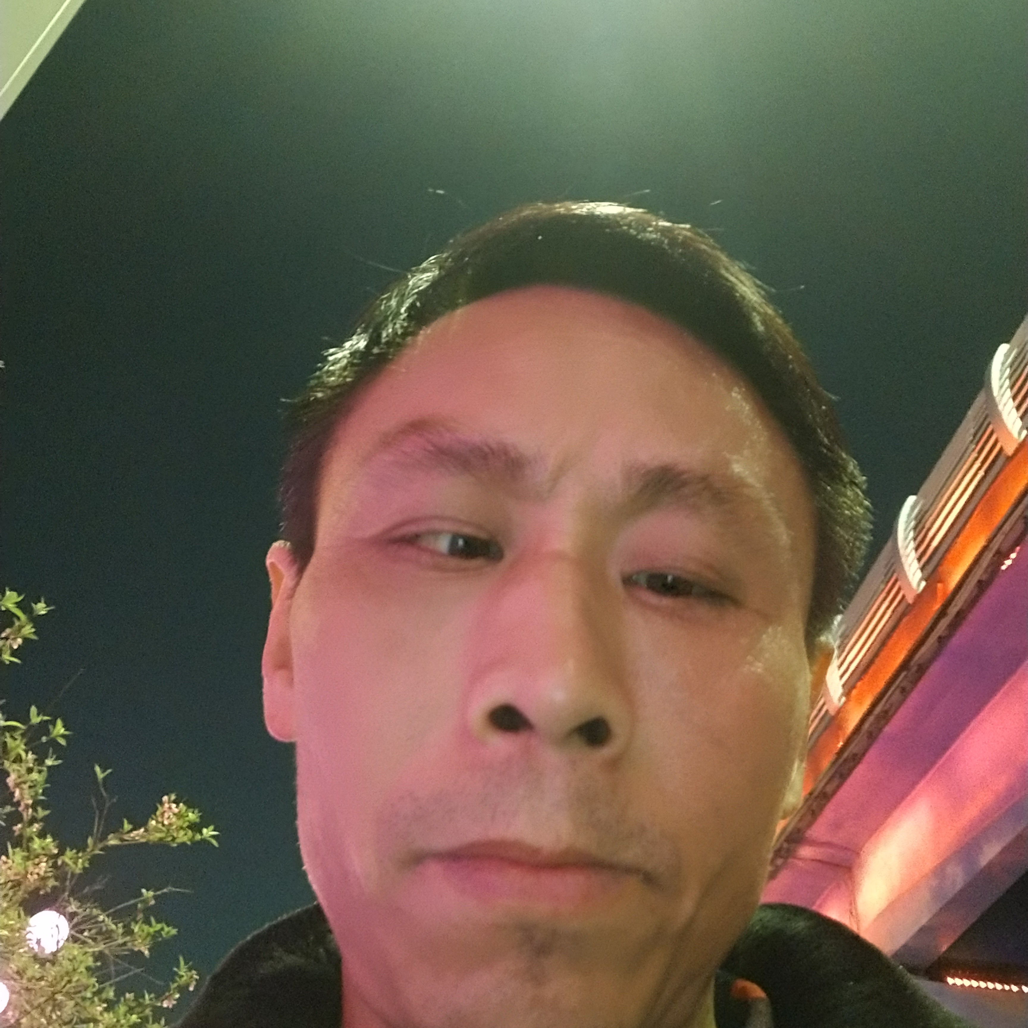 坚定说磬音的照片