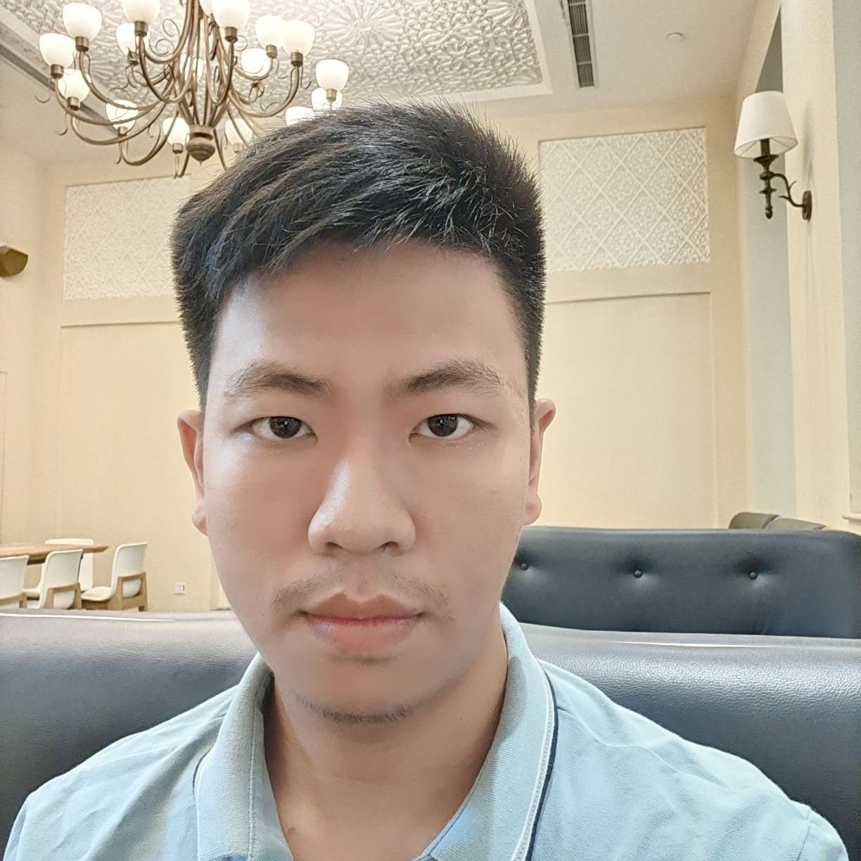 勤恳说大树的照片