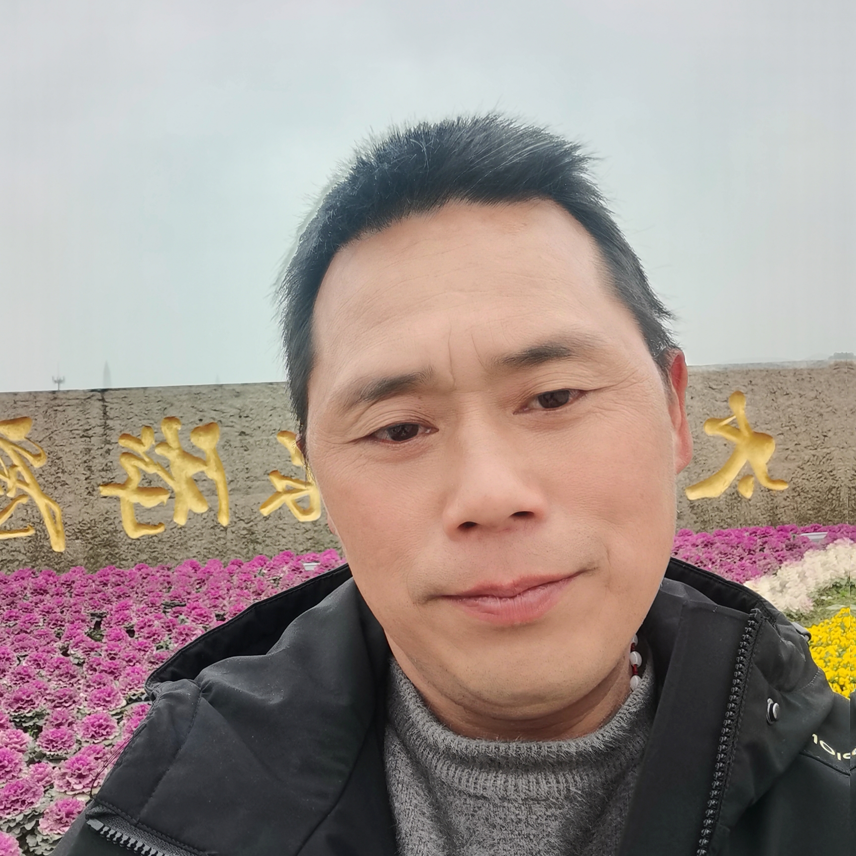 矮小相许棒棒糖的照片