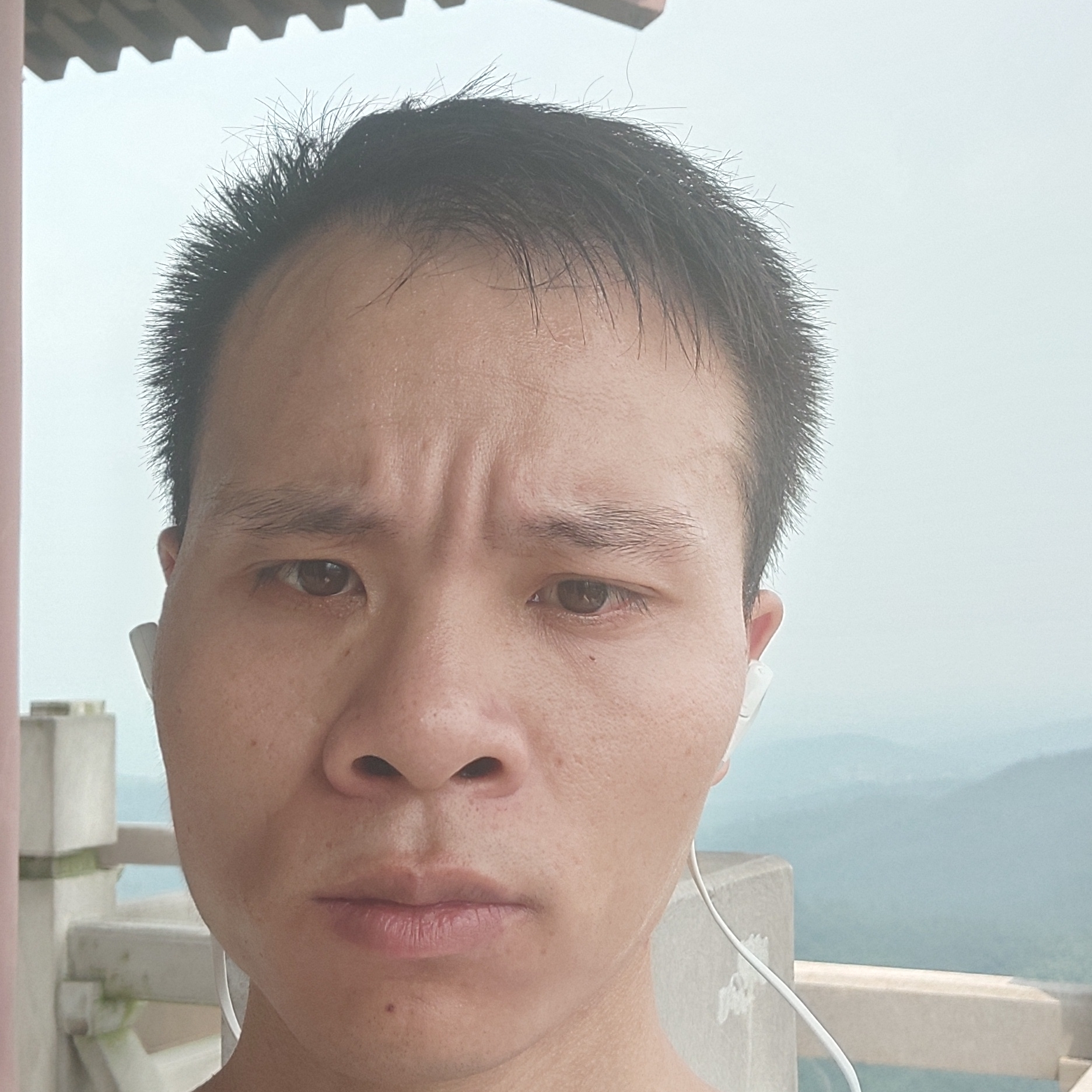 玩命和紫菜的照片