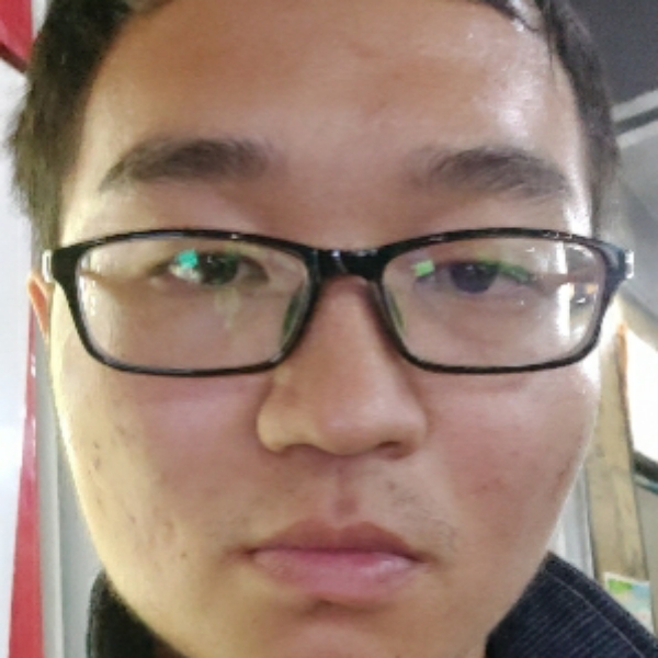 复杂的黄蜂的照片