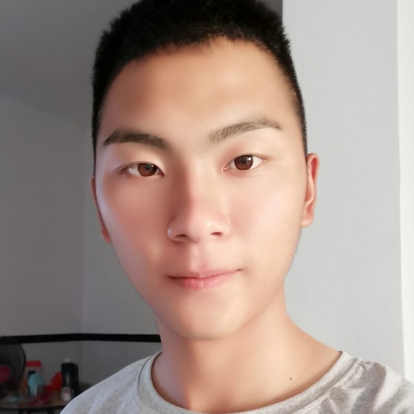 哈密瓜等于可爱的照片