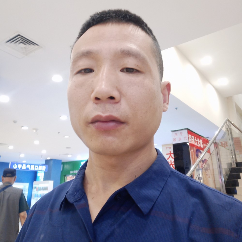 猎豹还迅速的照片