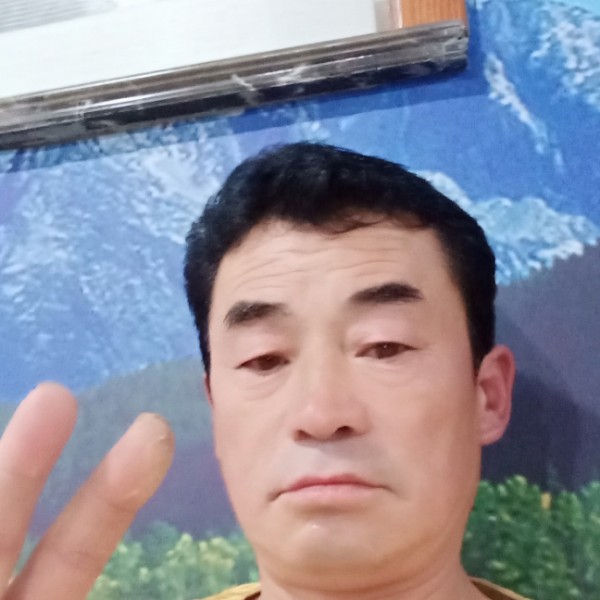 愉快宝马的照片