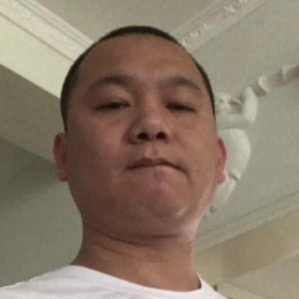 枕头挽手高贵的照片