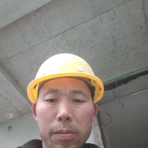 小天鹅冷傲的照片