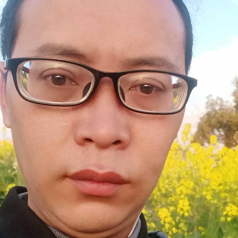 玫瑰说美丽的照片