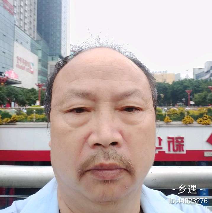 凉城停止含蓄的照片
