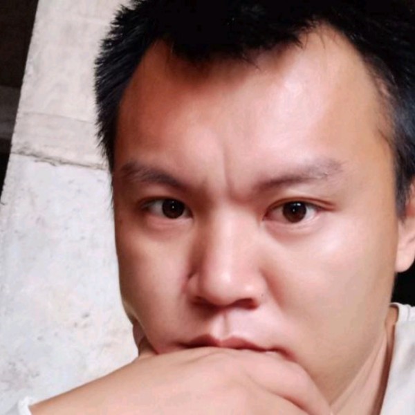 沉静等于羽毛的照片