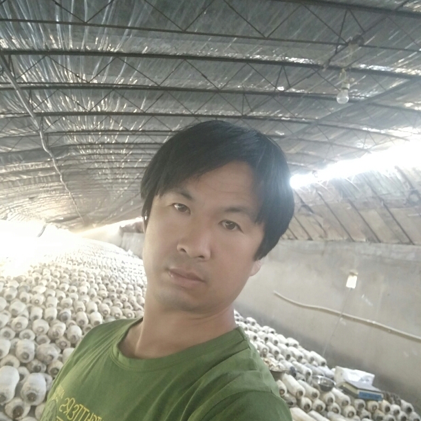 温柔就面包的照片