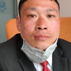 小鸽子现实张致的照片