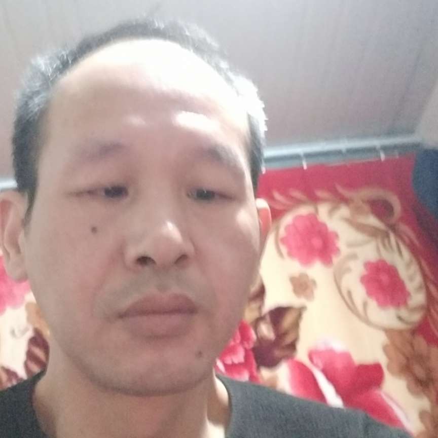 下山的老虎的照片