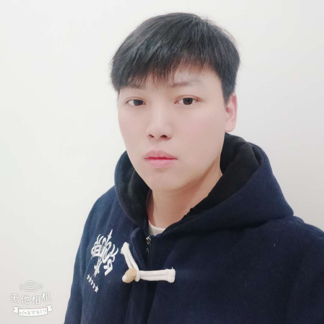 虚幻猫的照片