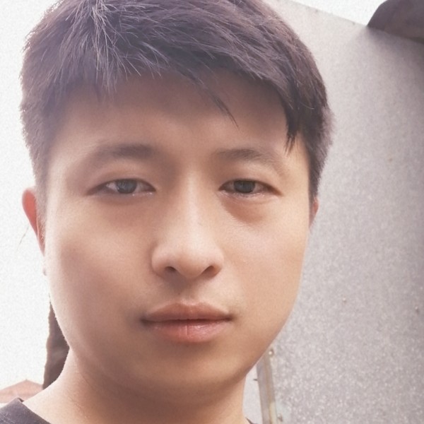 迷路白鹭的照片