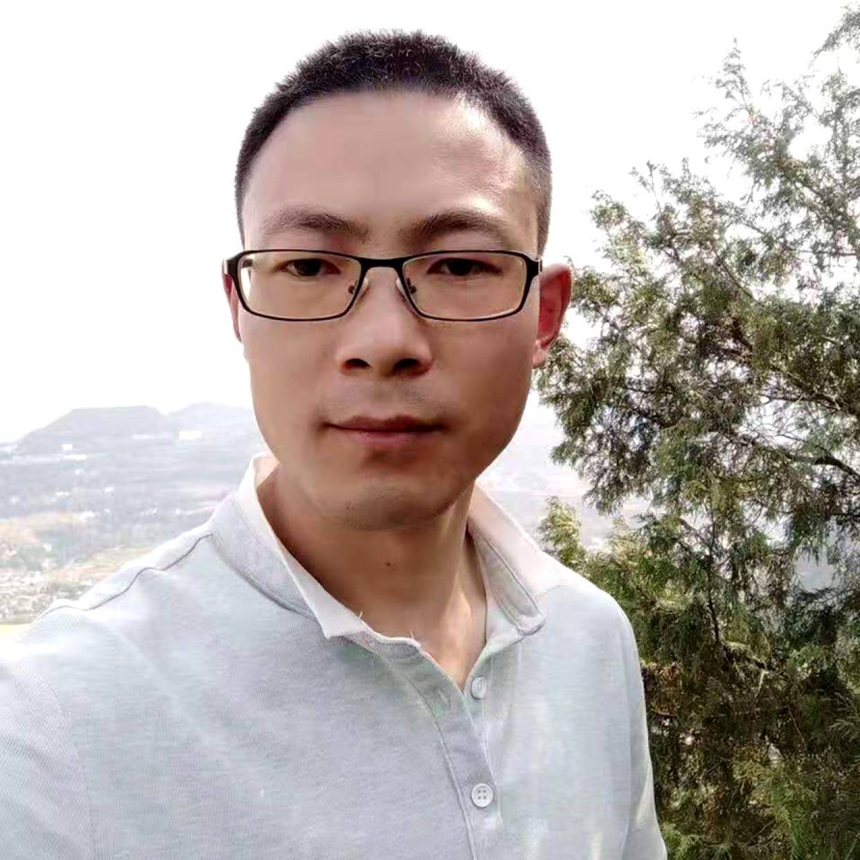 母鸡停止大胆的照片