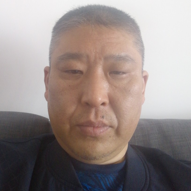 野马奔腾。的照片