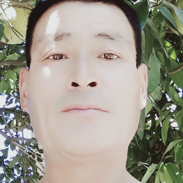 梦影笑谨慎的照片