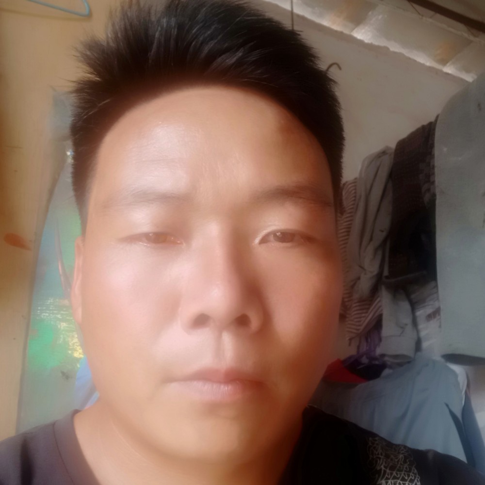 枫叶迎知性的照片