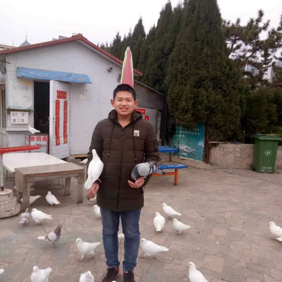 愤怒回眸书包的照片