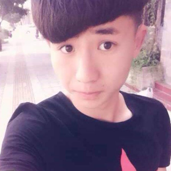 一只大熊猫的照片