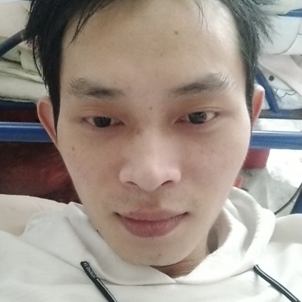 孤單漫步灰狼的照片
