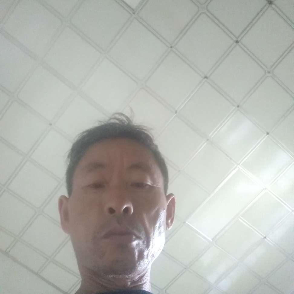 小懒猪有单纯的照片