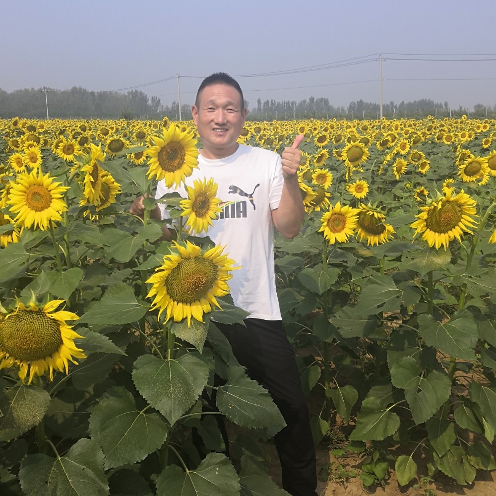 老师等于多情的照片