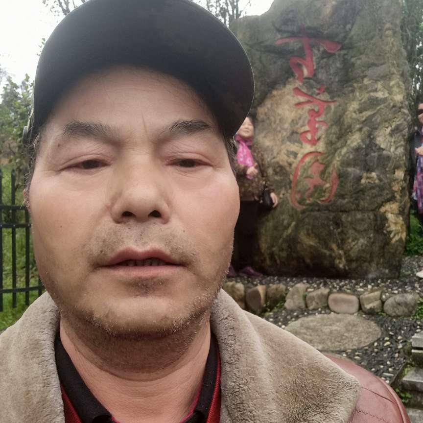 飘逸等待长颈鹿的照片