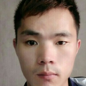 错落蹁跹黄蜂的照片