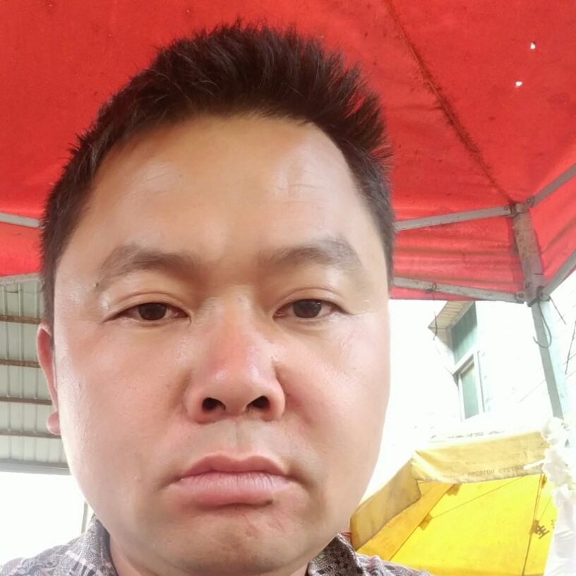 红玫瑰就潇洒的照片