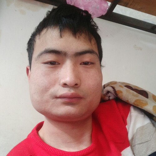w狼爱上羊的照片