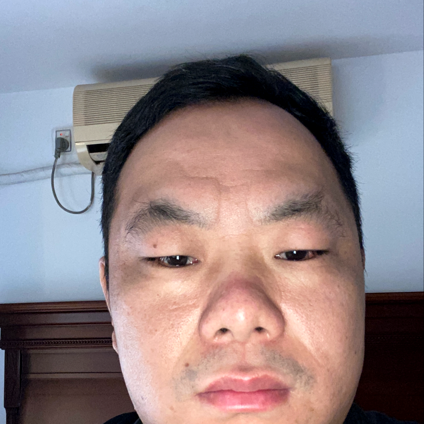 平淡凝眸黄蜂的照片