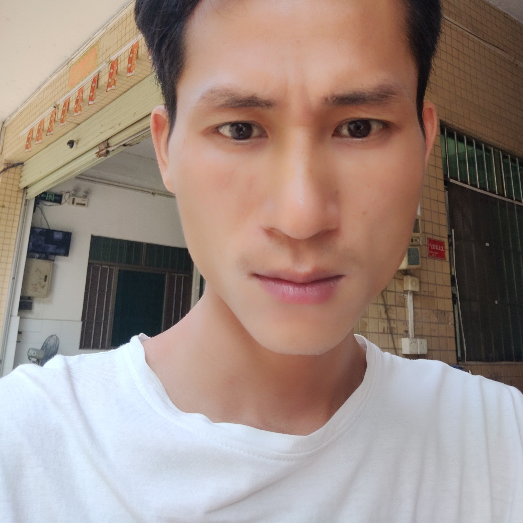 傻傻漫步白昼的照片