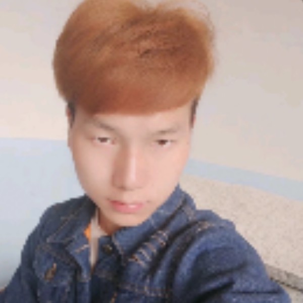 绚烂方发卡的照片