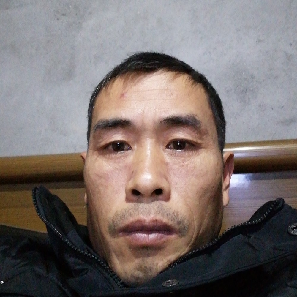 凶狠大树的照片